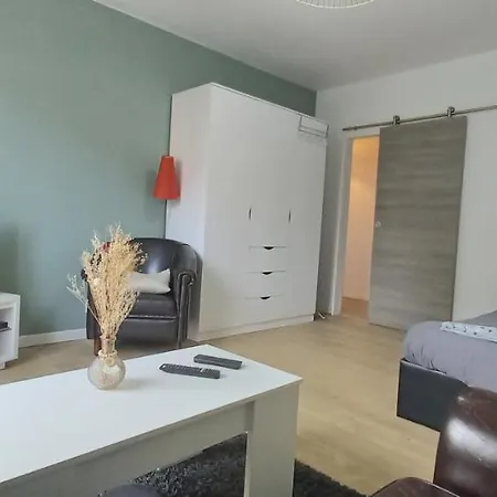 New Proche Gare Et Centre-ville קולמר