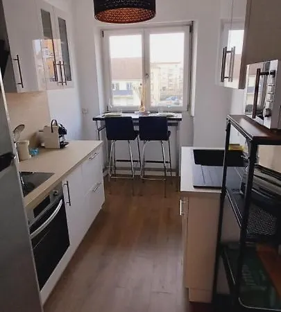 דירה New Proche Gare Et Centre-ville קולמר